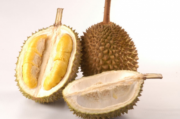 Bahasa Inggrisnya Durian