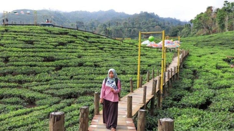Fakultas Paling Hits 2025: Menjelajahi Lanskap Pendidikan Tinggi yang Dinamis